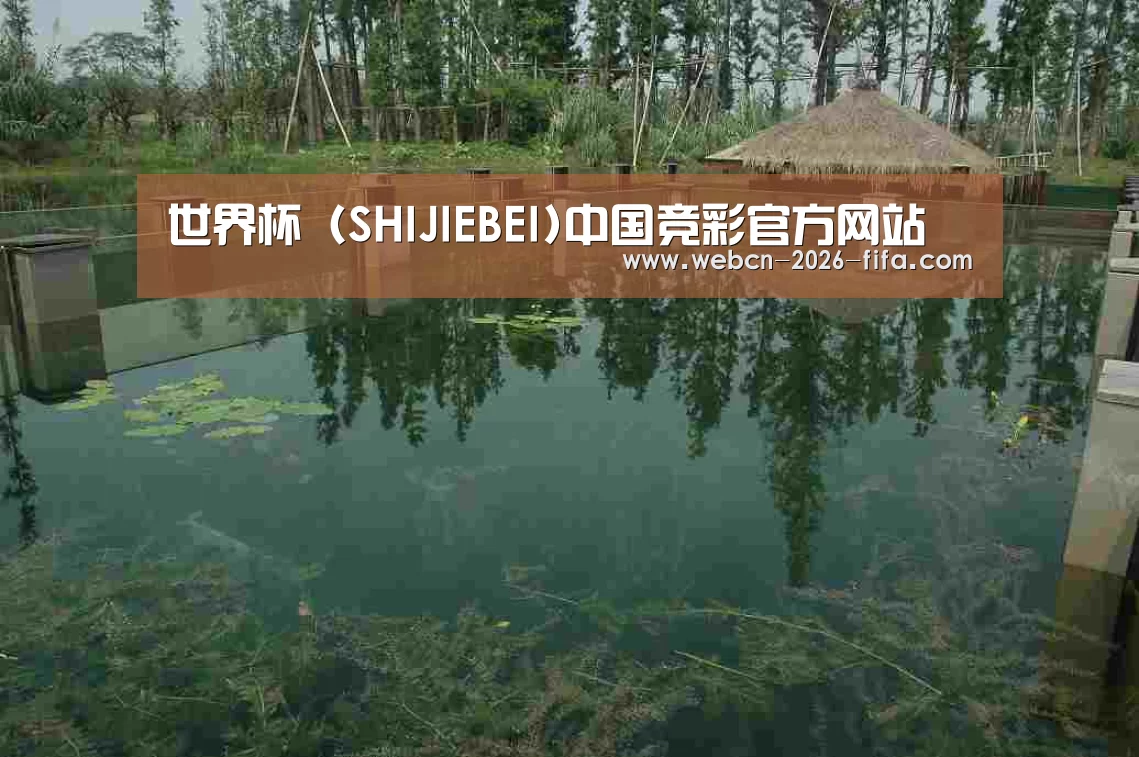 案例展示二(图1)