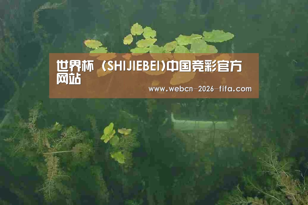 案例展示三