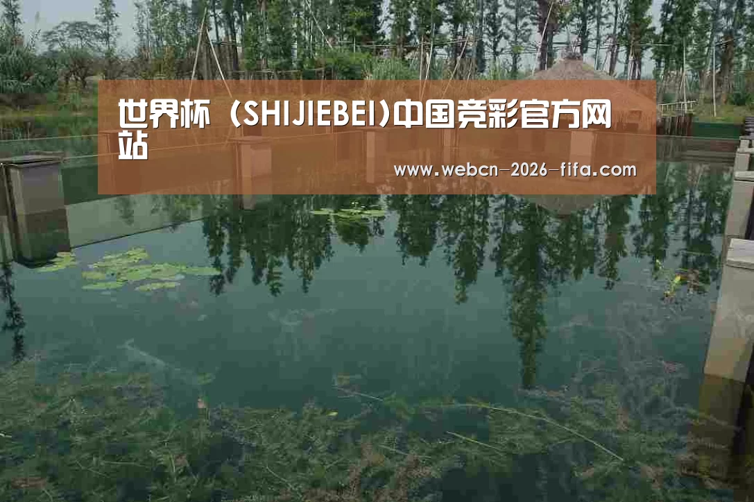 案例展示二