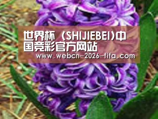 产品名称八
