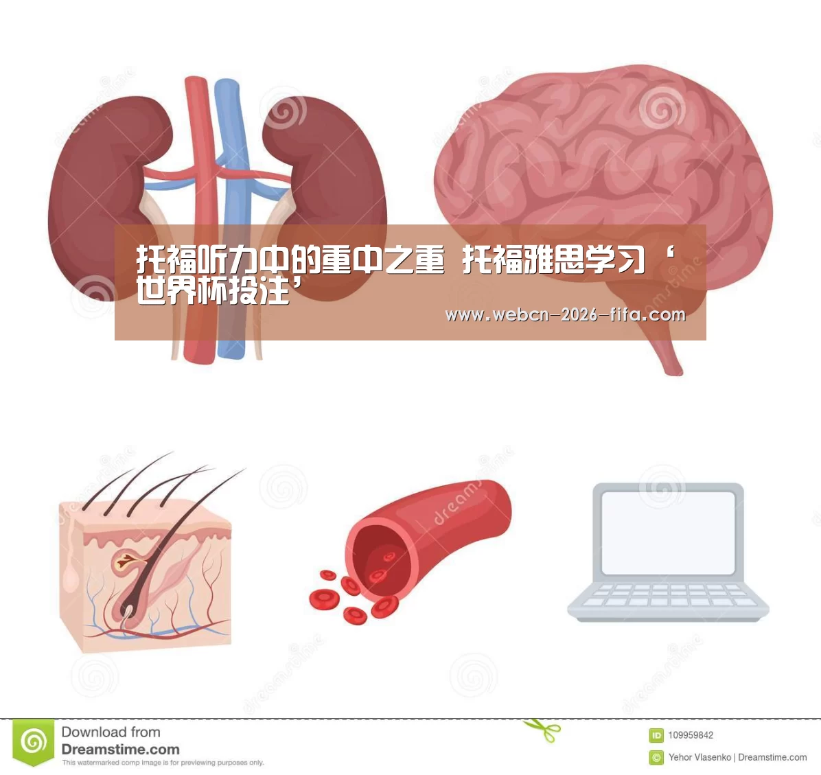 托福听力中的重中之重 托福雅思学习‘世界杯投注’(图1) 世界杯投注